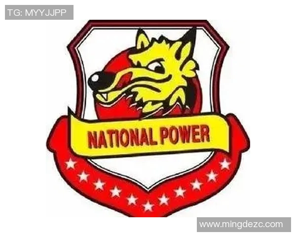 陕西足球崛起之路探秘青训发展与职业联赛的双重推动